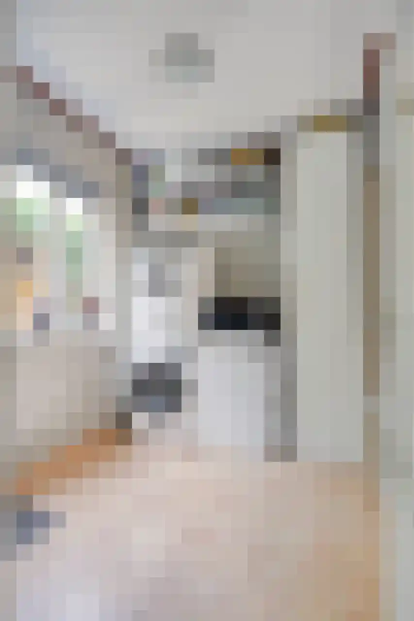 Julianaplein 23 Tolkamer thumbnail 13