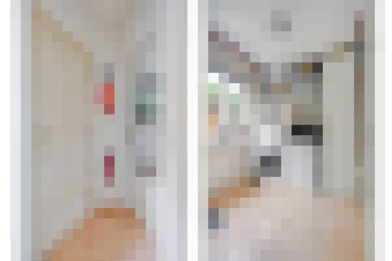 Julianaplein 23 Tolkamer thumbnail 14