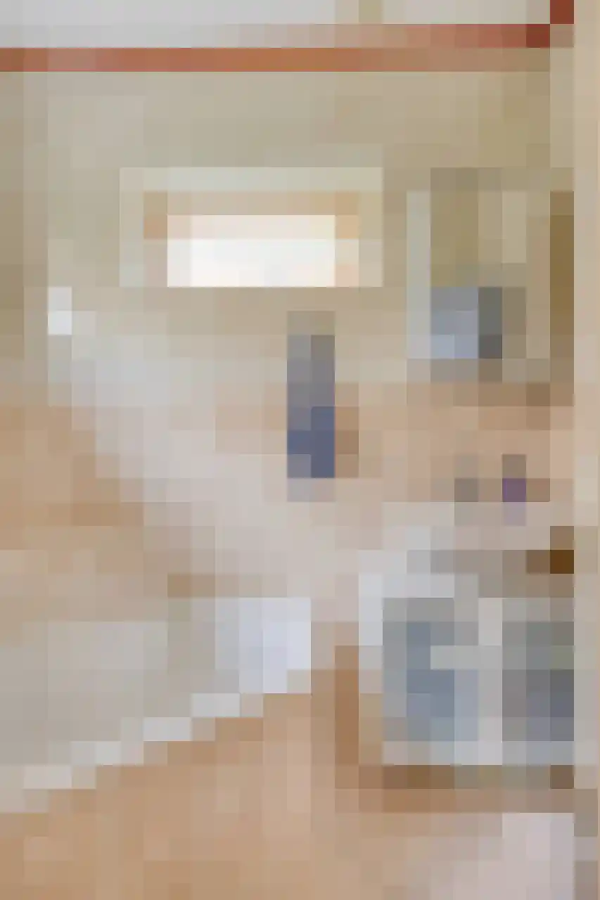 Julianaplein 23 Tolkamer thumbnail 15