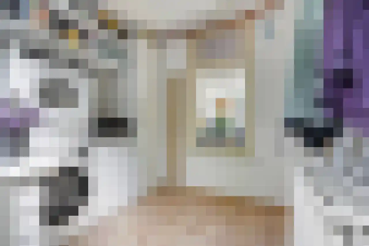 Julianaplein 23 Tolkamer thumbnail 17