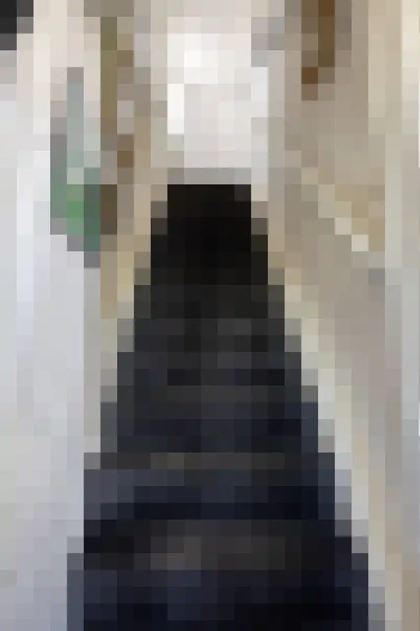 Julianaplein 23 Tolkamer thumbnail 19