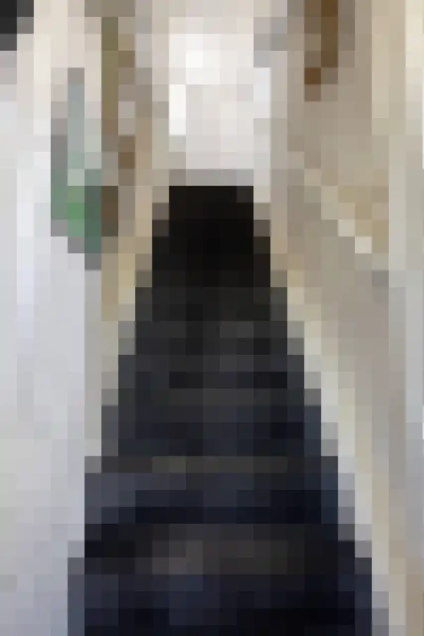Julianaplein 23 Tolkamer thumbnail 19