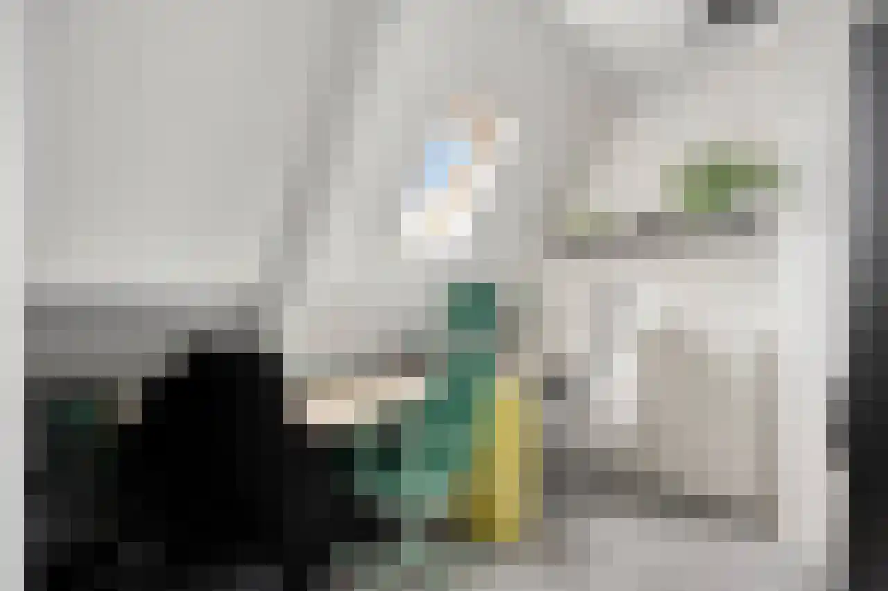 Julianaplein 23 Tolkamer thumbnail 21