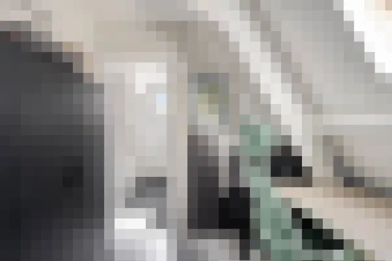 Julianaplein 23 Tolkamer thumbnail 22