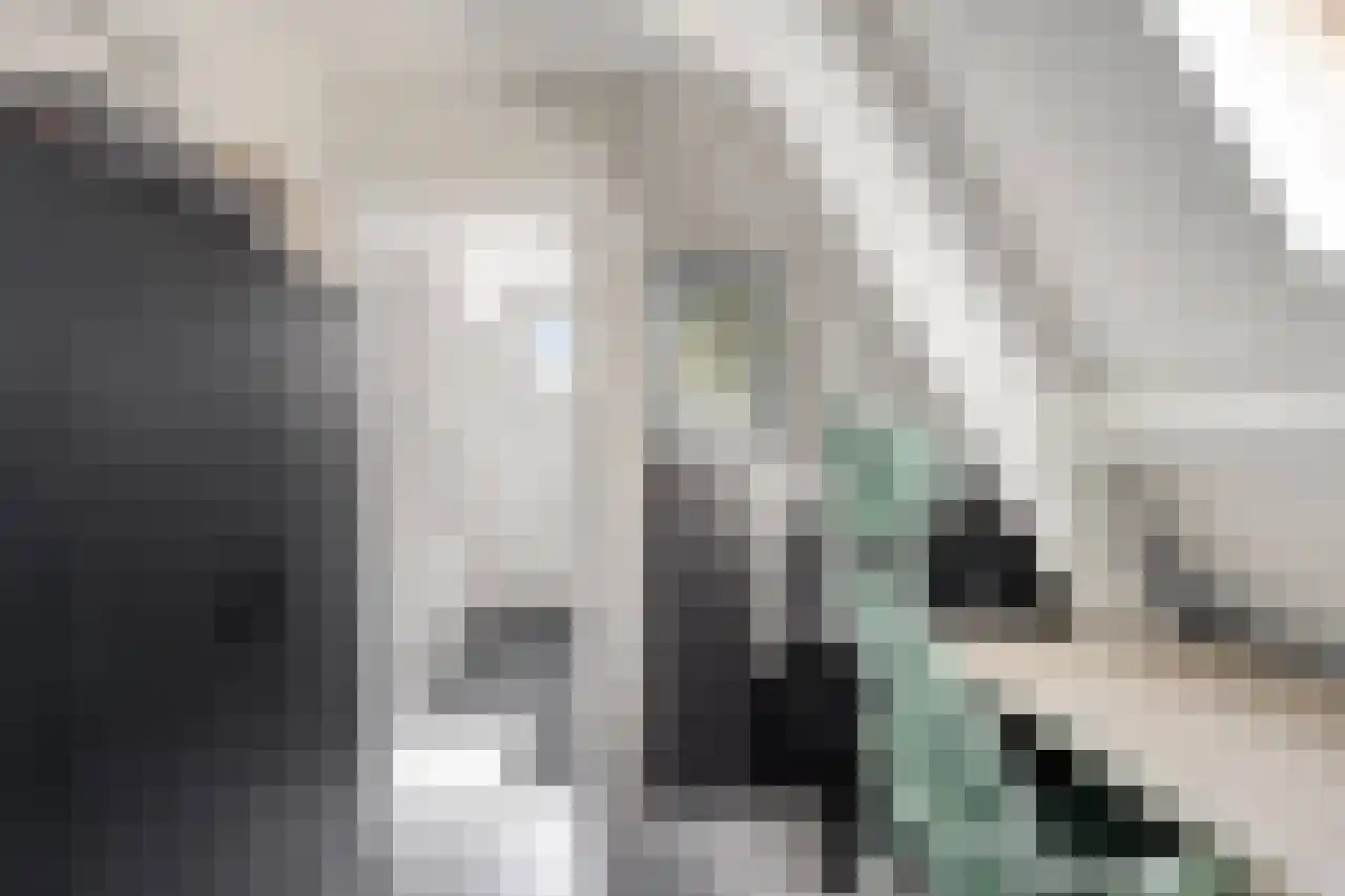 Julianaplein 23 Tolkamer thumbnail 22