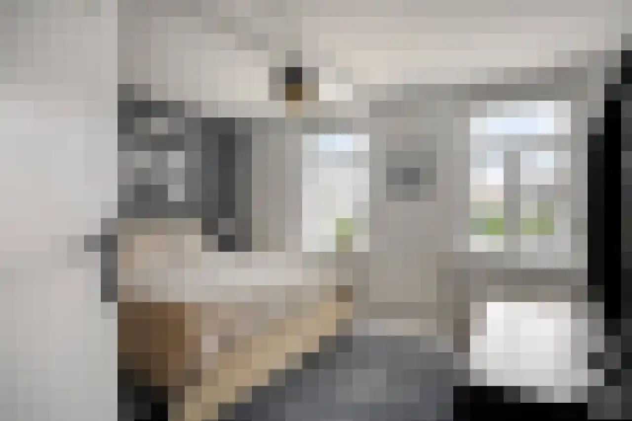 Julianaplein 23 Tolkamer thumbnail 23