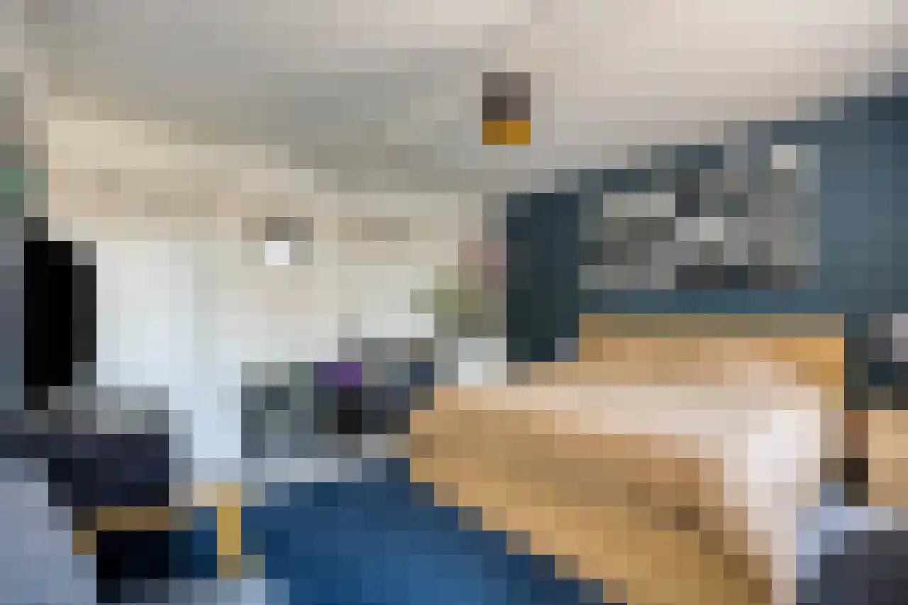 Julianaplein 23 Tolkamer thumbnail 25