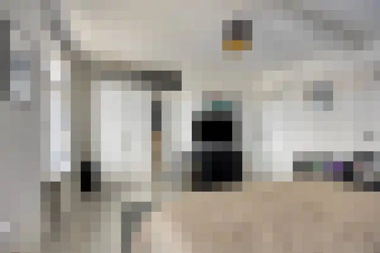 Julianaplein 23 Tolkamer thumbnail 26