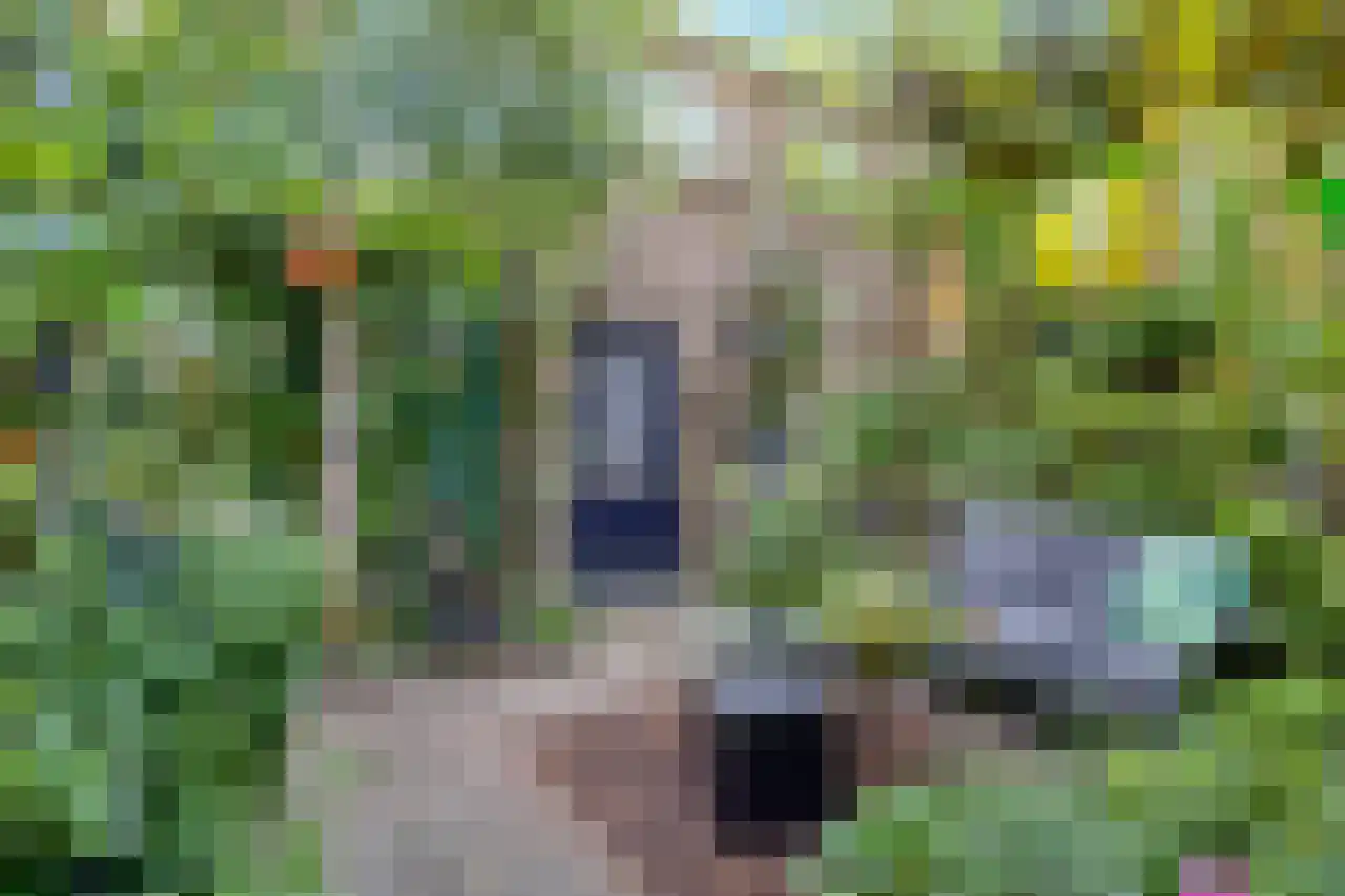 Julianaplein 23 Tolkamer thumbnail 27