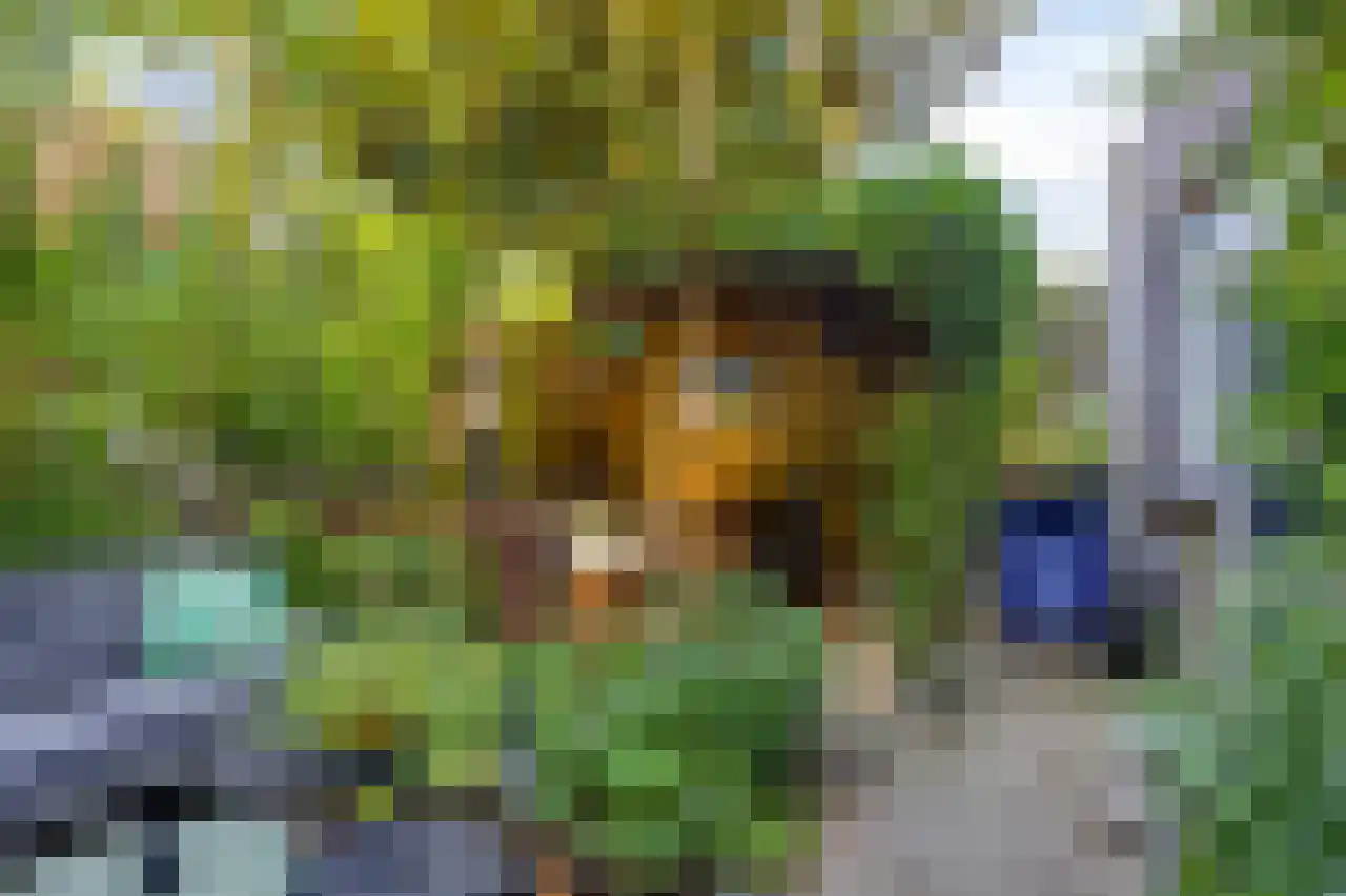Julianaplein 23 Tolkamer thumbnail 28
