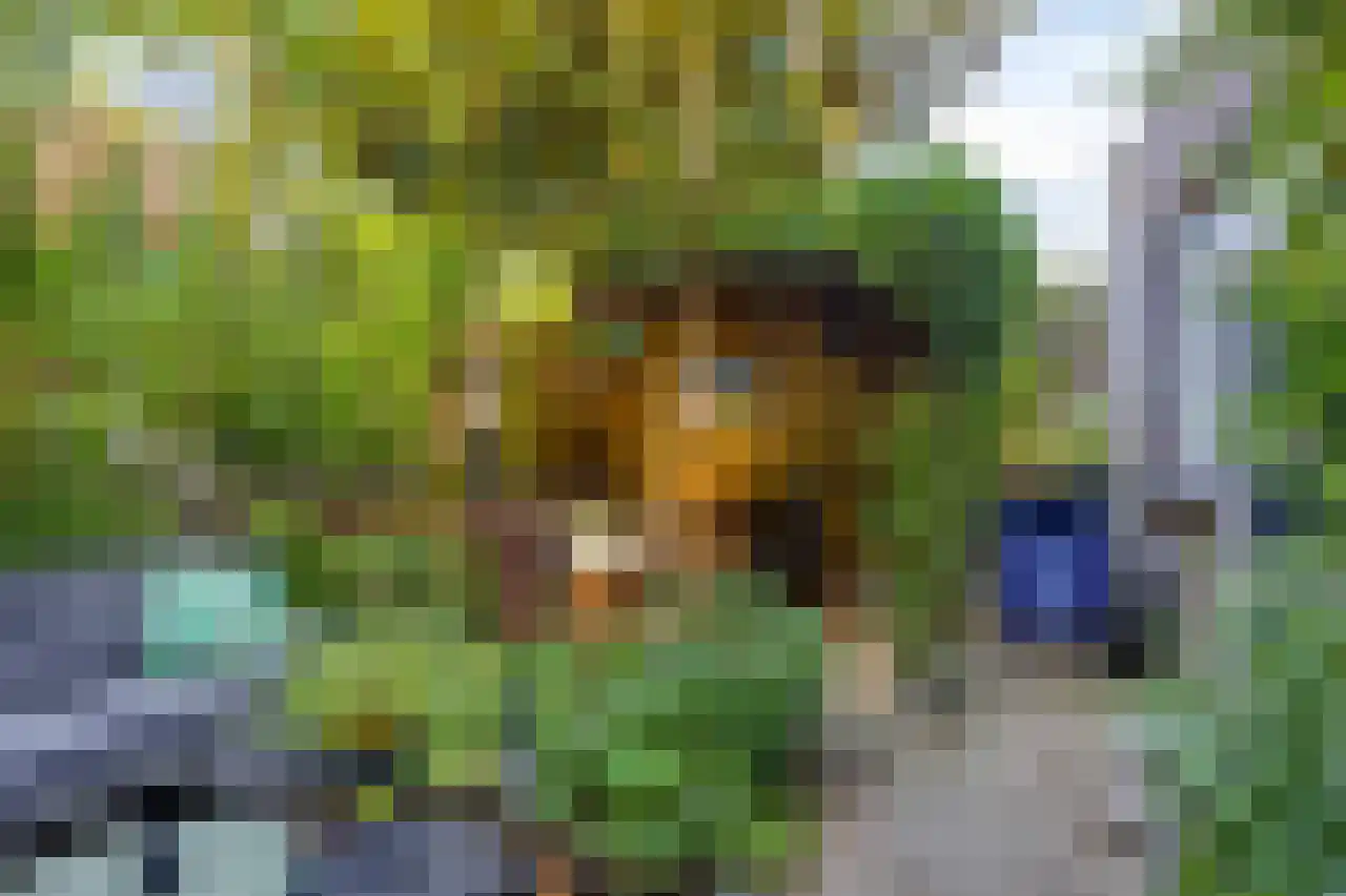 Julianaplein 23 Tolkamer thumbnail 28