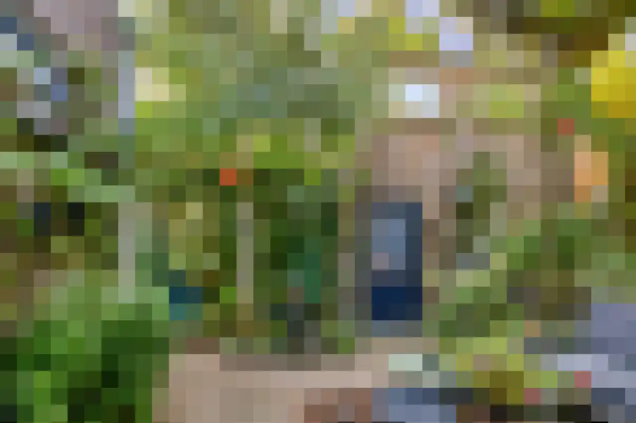 Julianaplein 23 Tolkamer thumbnail 30