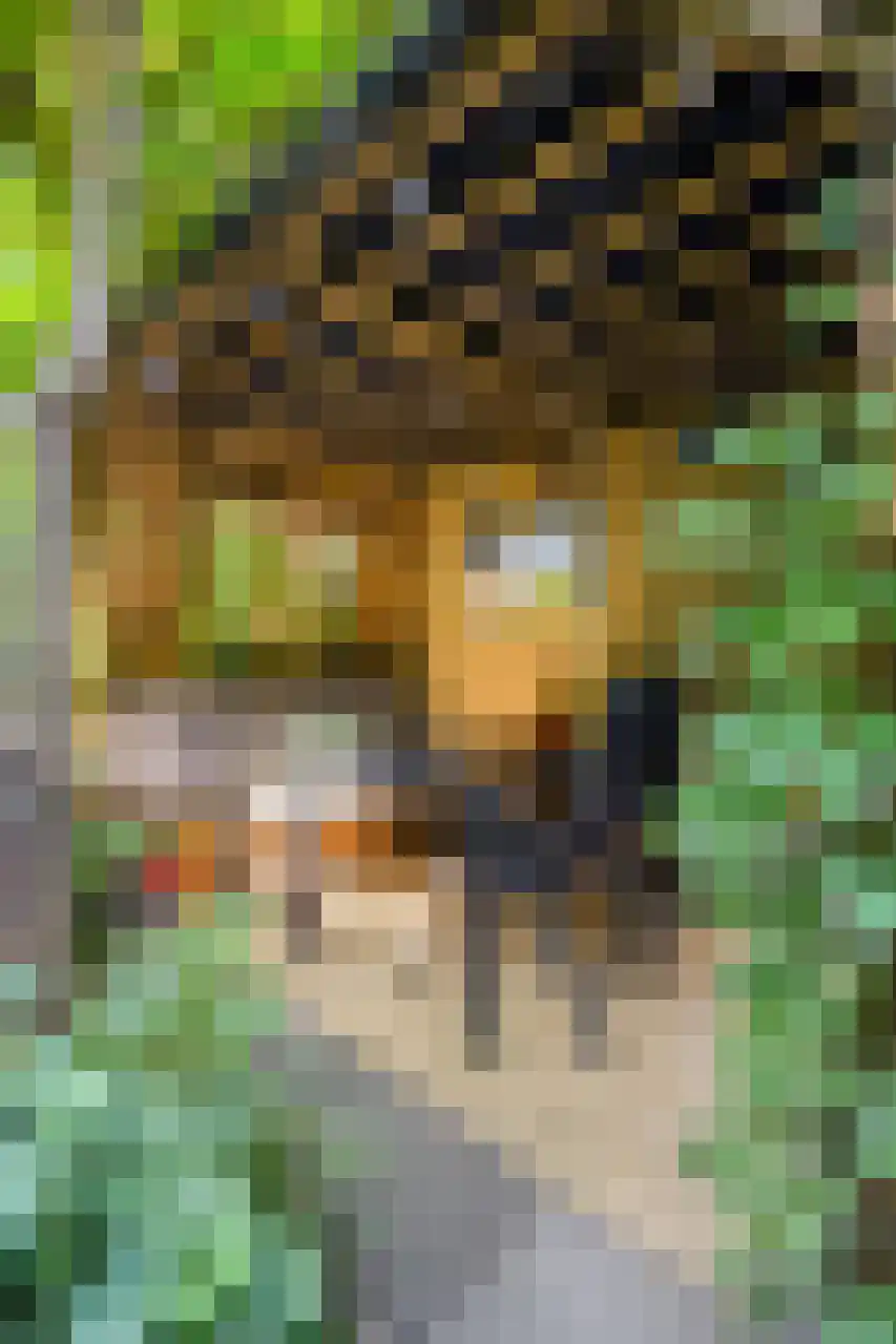 Julianaplein 23 Tolkamer thumbnail 31