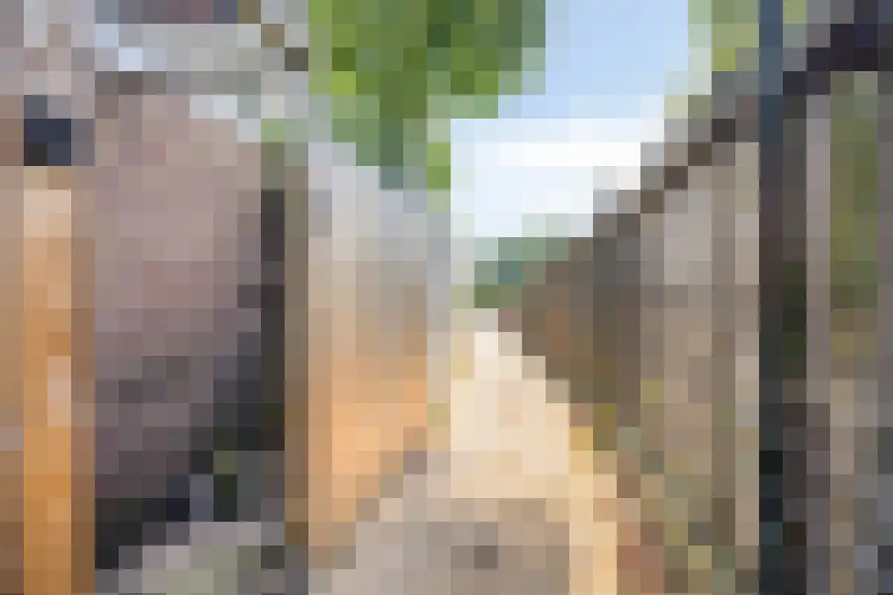 Julianaplein 23 Tolkamer thumbnail 36