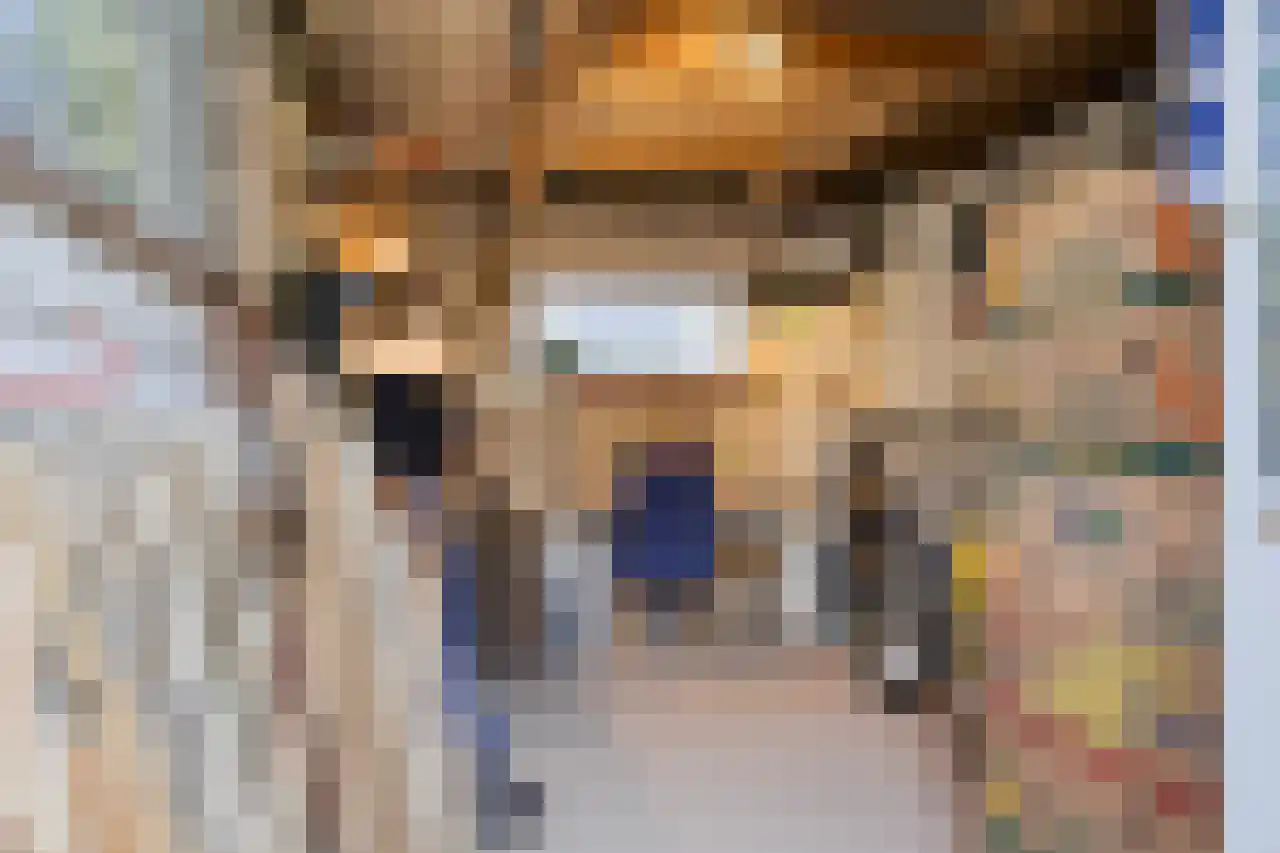 Julianaplein 23 Tolkamer thumbnail 39