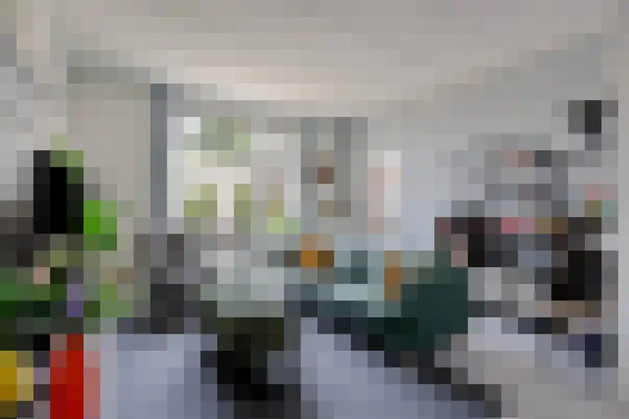 Julianaplein 23 Tolkamer thumbnail 7