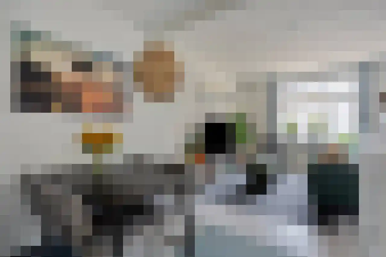 Julianaplein 23 Tolkamer thumbnail 9