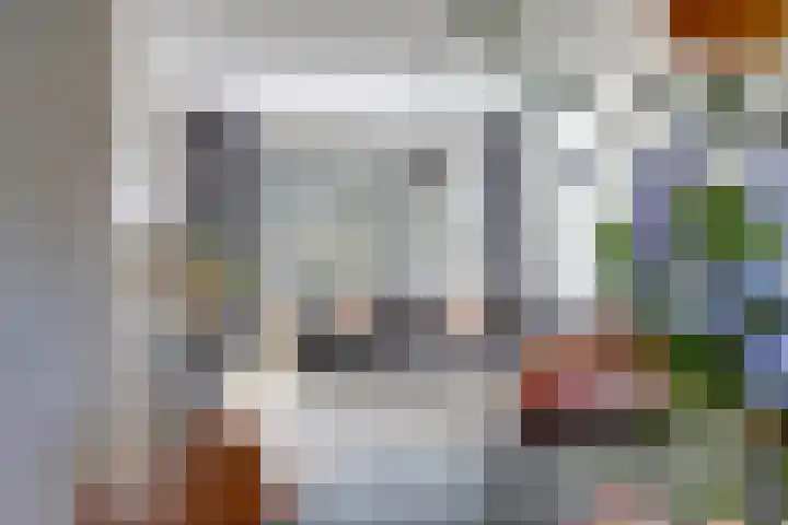 Julianaplein 24 Bladel thumbnail 10