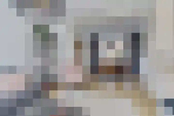 Julianaplein 24 Bladel thumbnail 13
