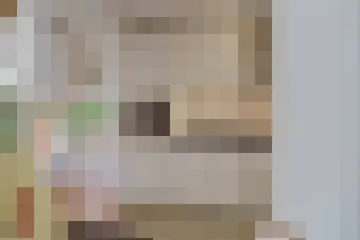 Julianaplein 24 Bladel thumbnail 16