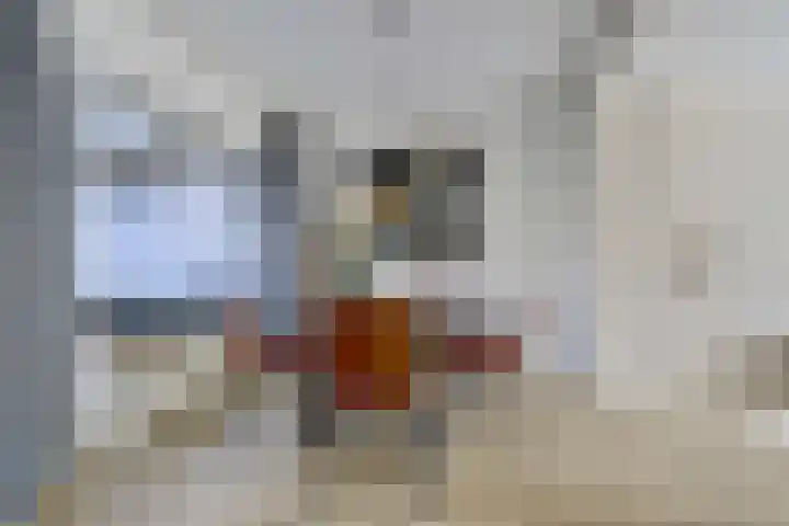 Julianaplein 24 Bladel thumbnail 17