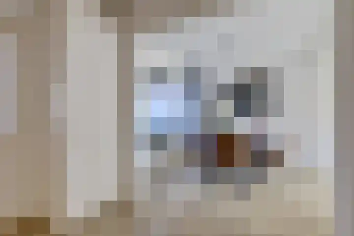 Julianaplein 24 Bladel thumbnail 18