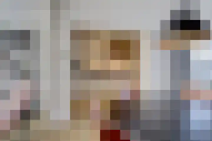 Julianaplein 24 Bladel thumbnail 19