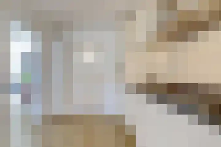 Julianaplein 24 Bladel thumbnail 20