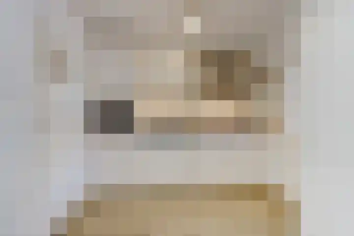 Julianaplein 24 Bladel thumbnail 21