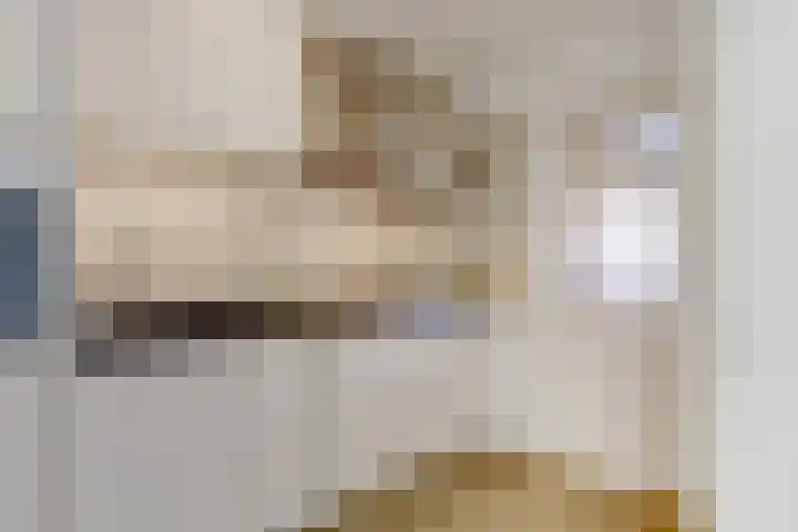Julianaplein 24 Bladel thumbnail 22