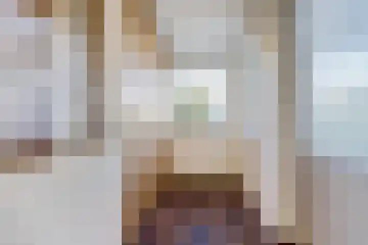 Julianaplein 24 Bladel thumbnail 23