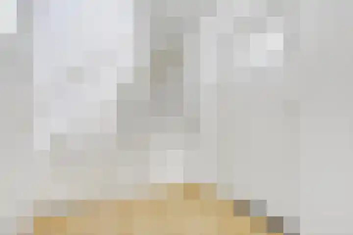 Julianaplein 24 Bladel thumbnail 25