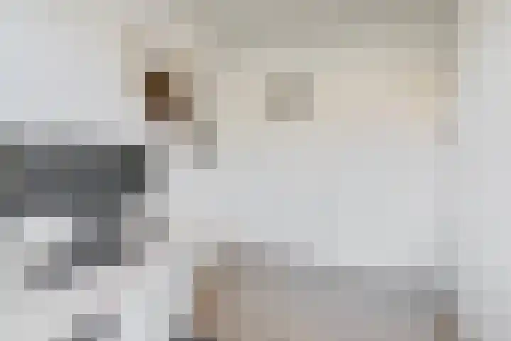 Julianaplein 24 Bladel thumbnail 32