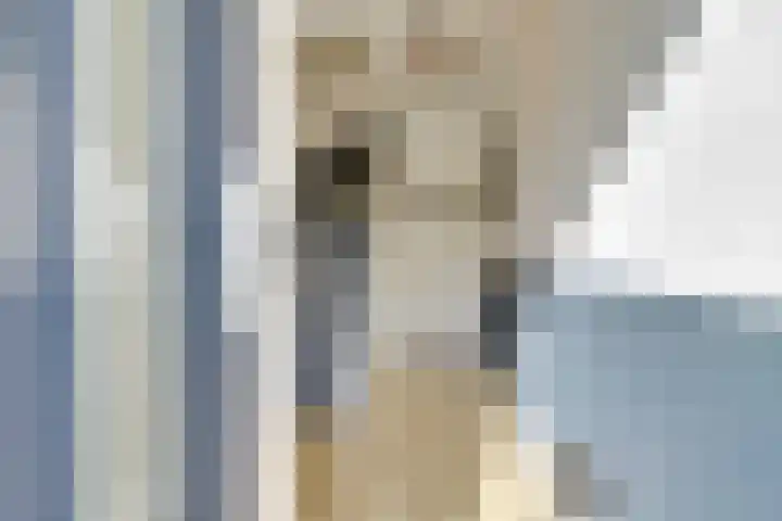 Julianaplein 24 Bladel thumbnail 4