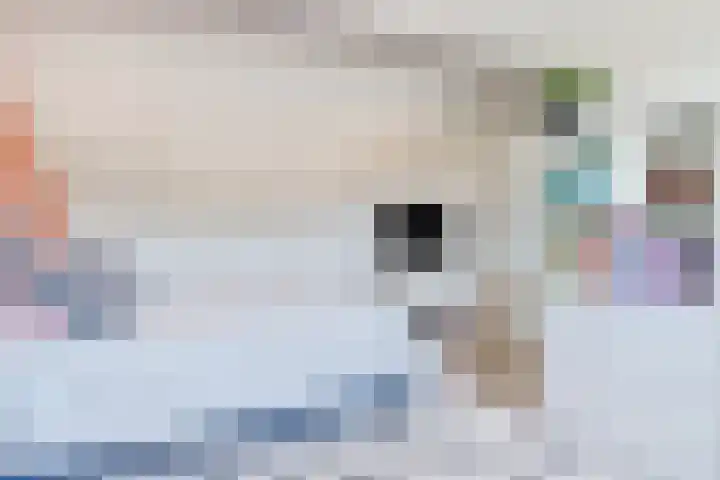 Julianaplein 24 Bladel thumbnail 41