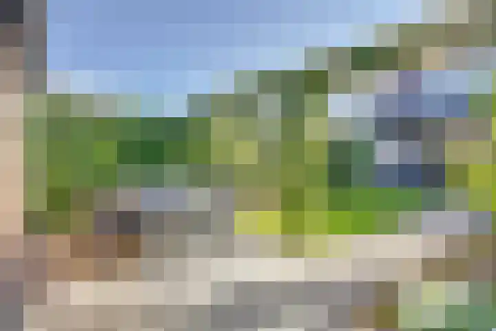 Julianaplein 24 Bladel thumbnail 48