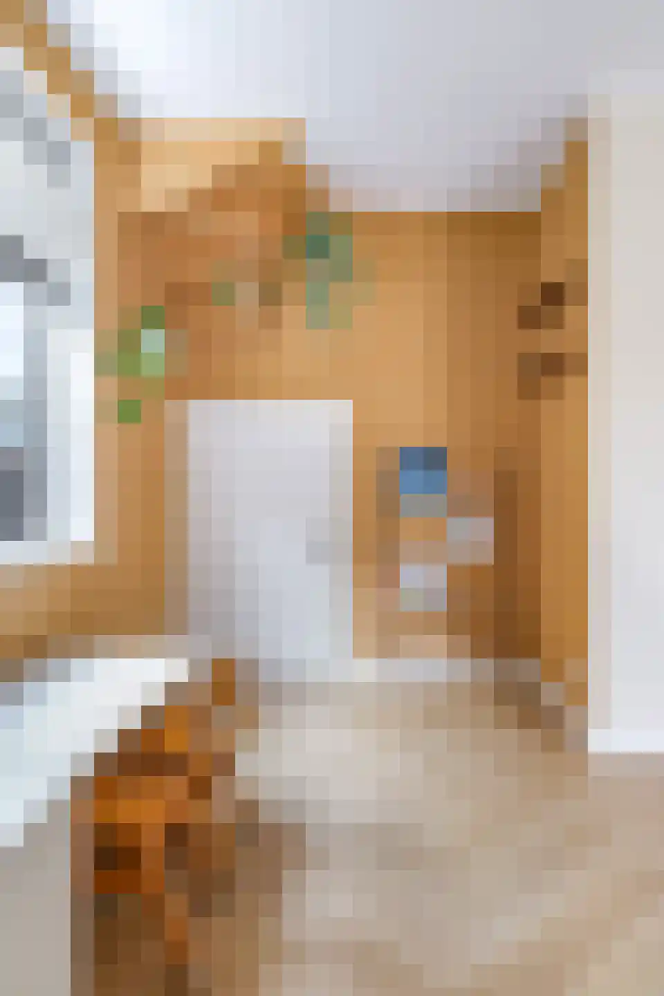 Julianaplein 3 Gendt thumbnail 16