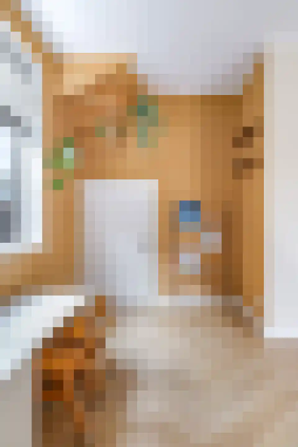 Julianaplein 3 Gendt thumbnail 16
