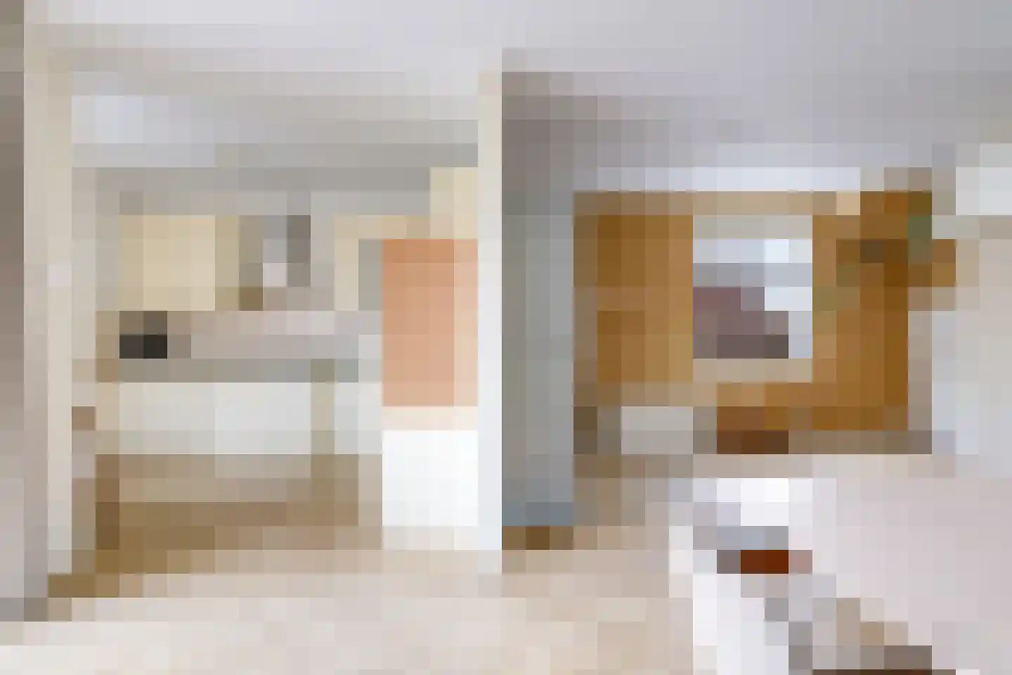 Julianaplein 3 Gendt thumbnail 19