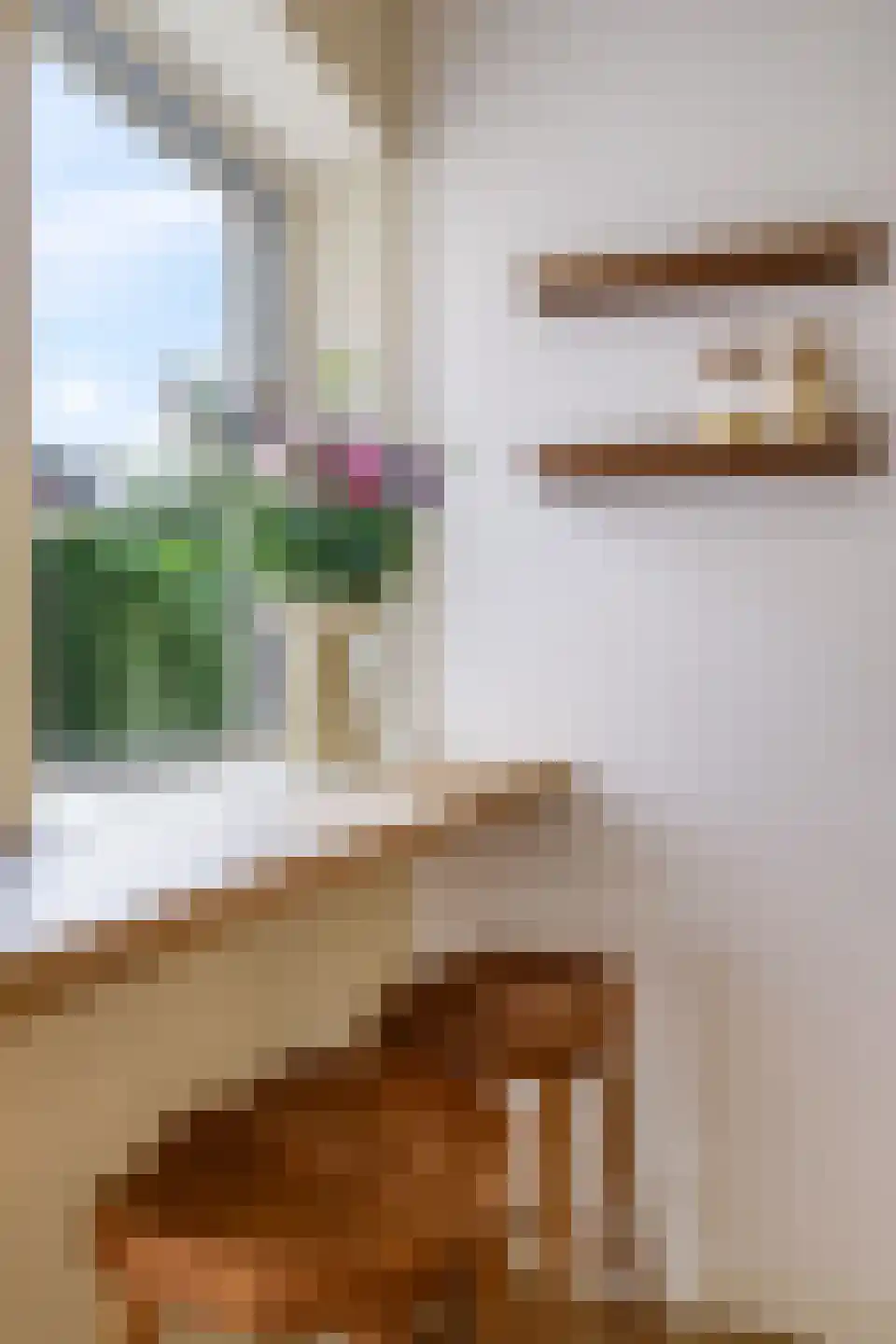 Julianaplein 3 Gendt thumbnail 25
