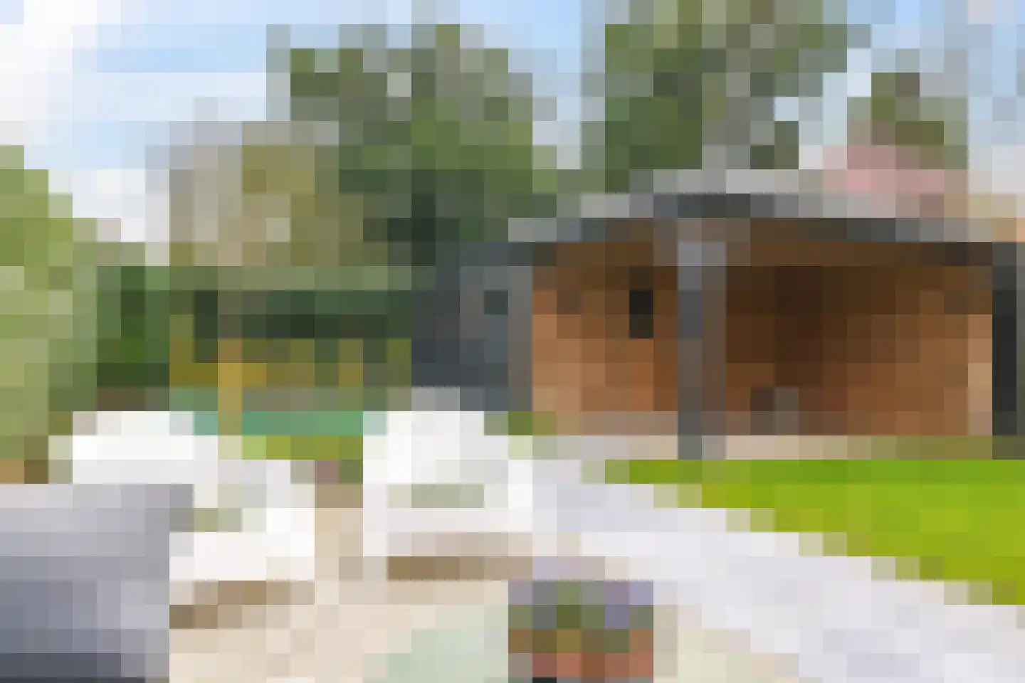 Julianaplein 3 Gendt thumbnail 34