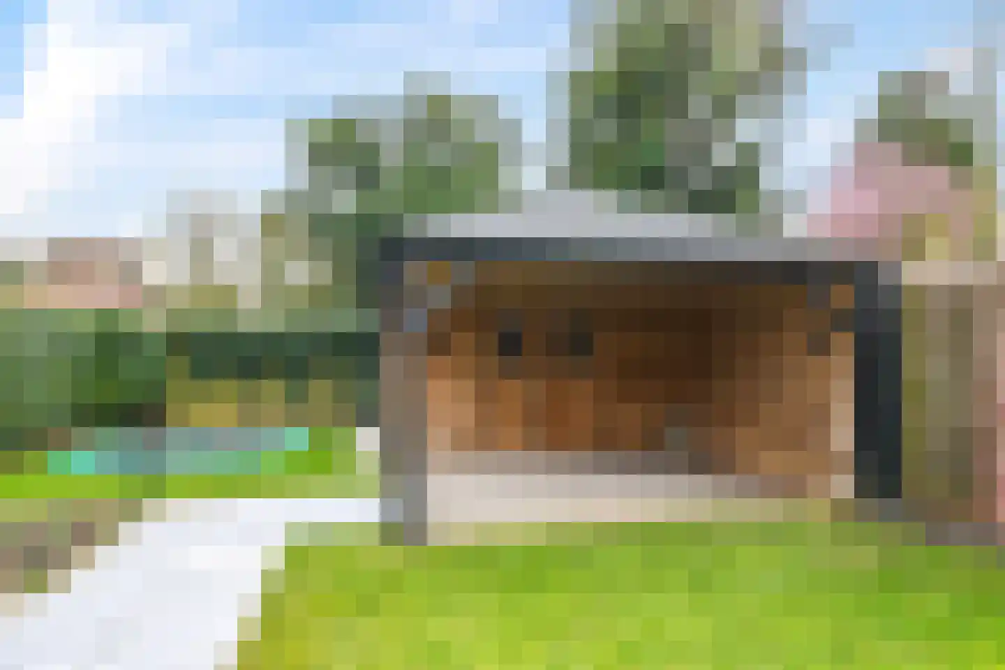 Julianaplein 3 Gendt thumbnail 35