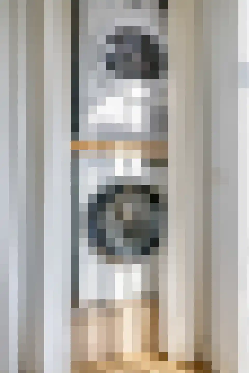 Julianaplein 3 Gendt thumbnail 48