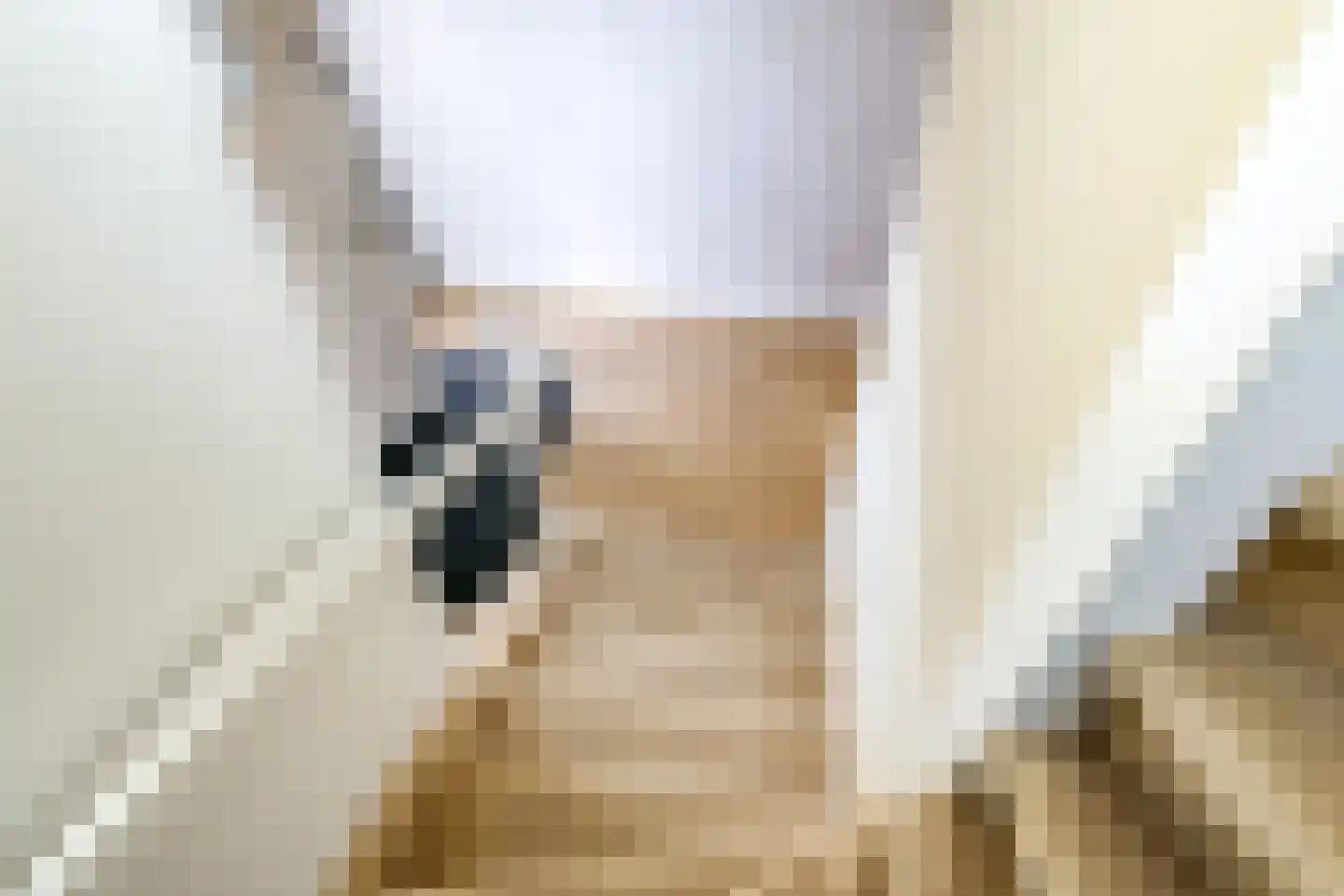 Julianaplein 3 Gendt thumbnail 49