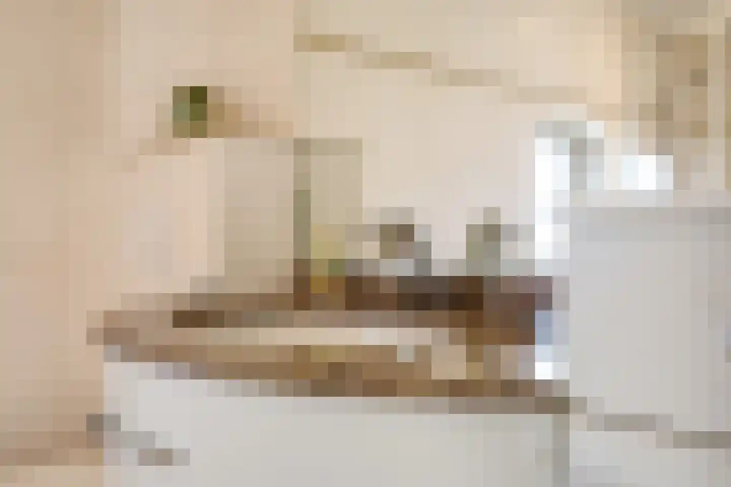 Julianaplein 3 Gendt thumbnail 58