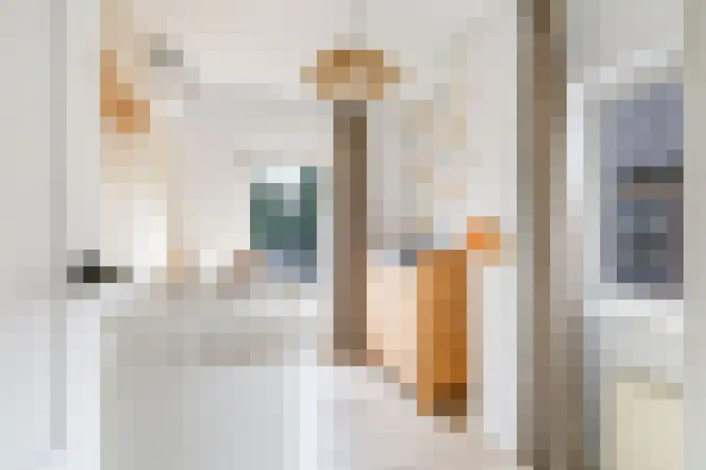 Julianaplein 3 Gendt thumbnail 59