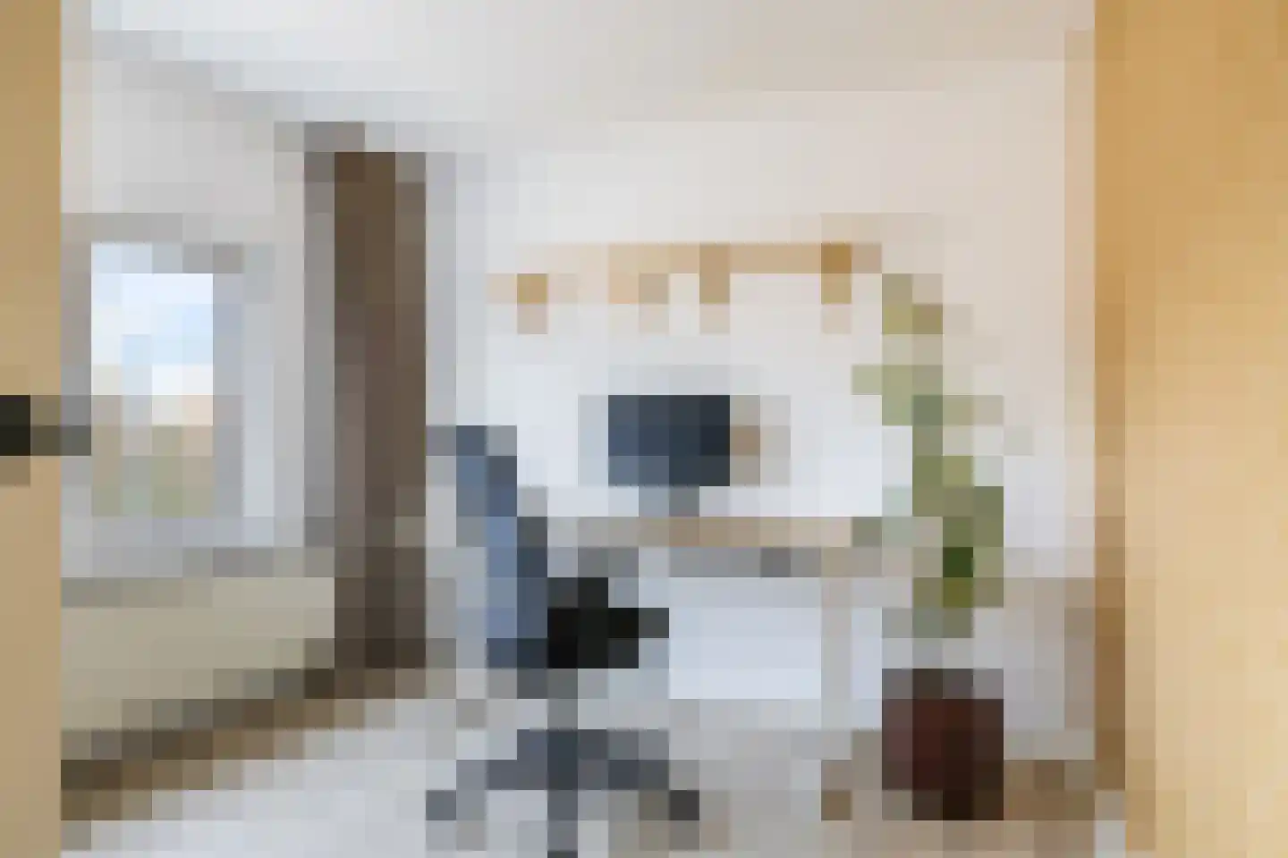 Julianaplein 3 Gendt thumbnail 62