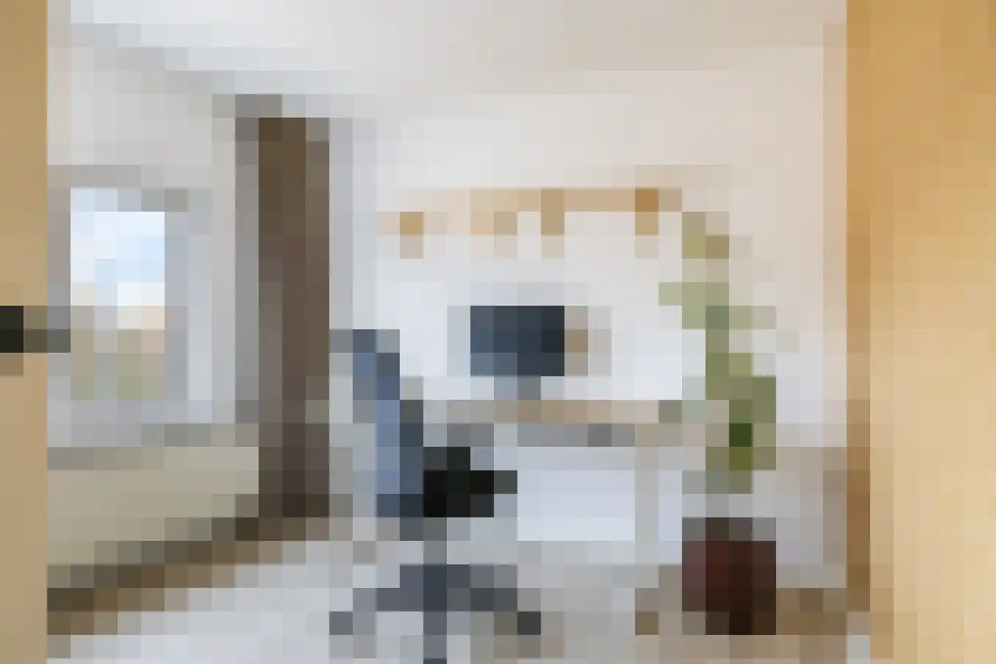 Julianaplein 3 Gendt thumbnail 62