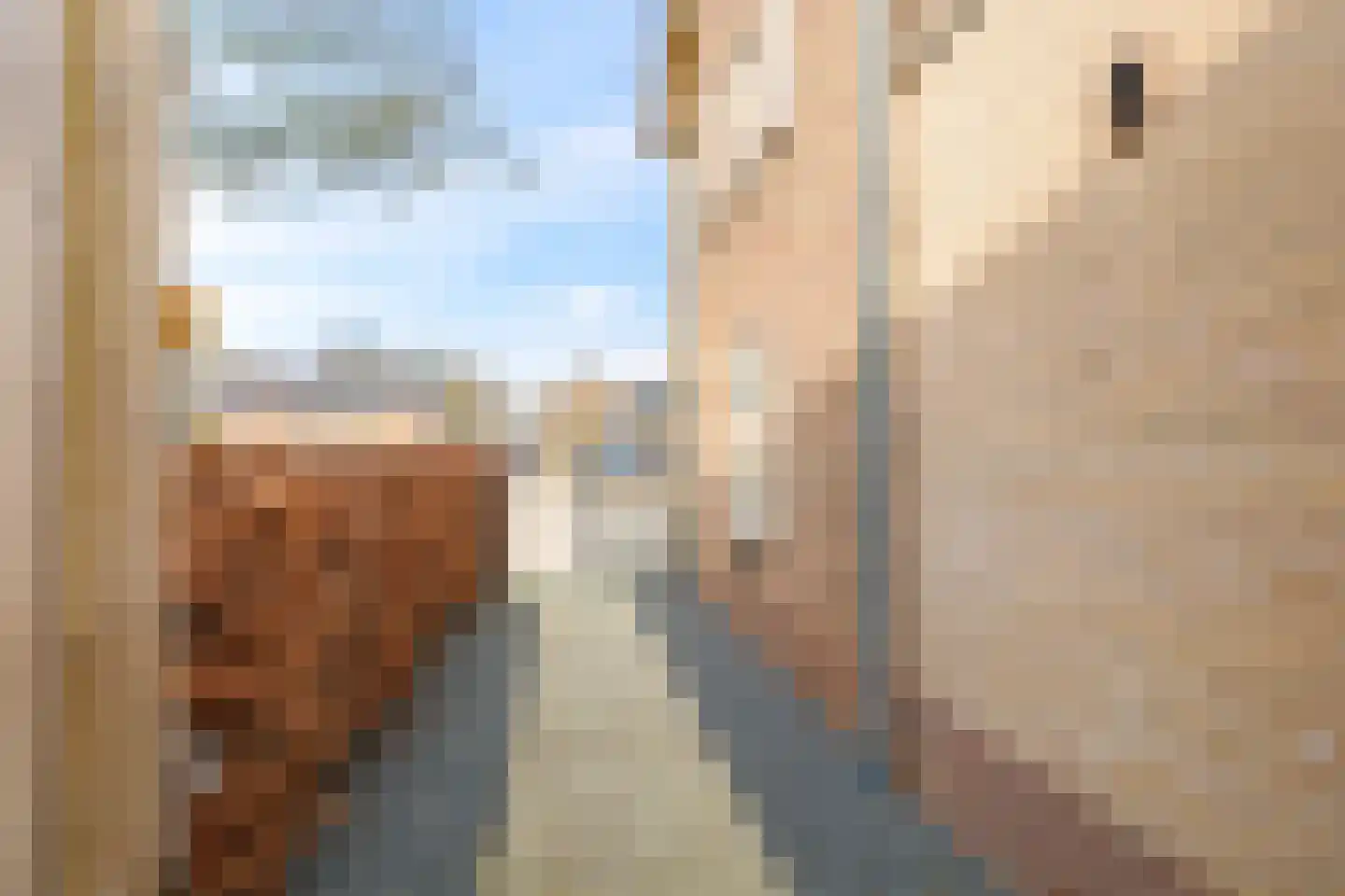Julianaplein 3 Gendt thumbnail 68