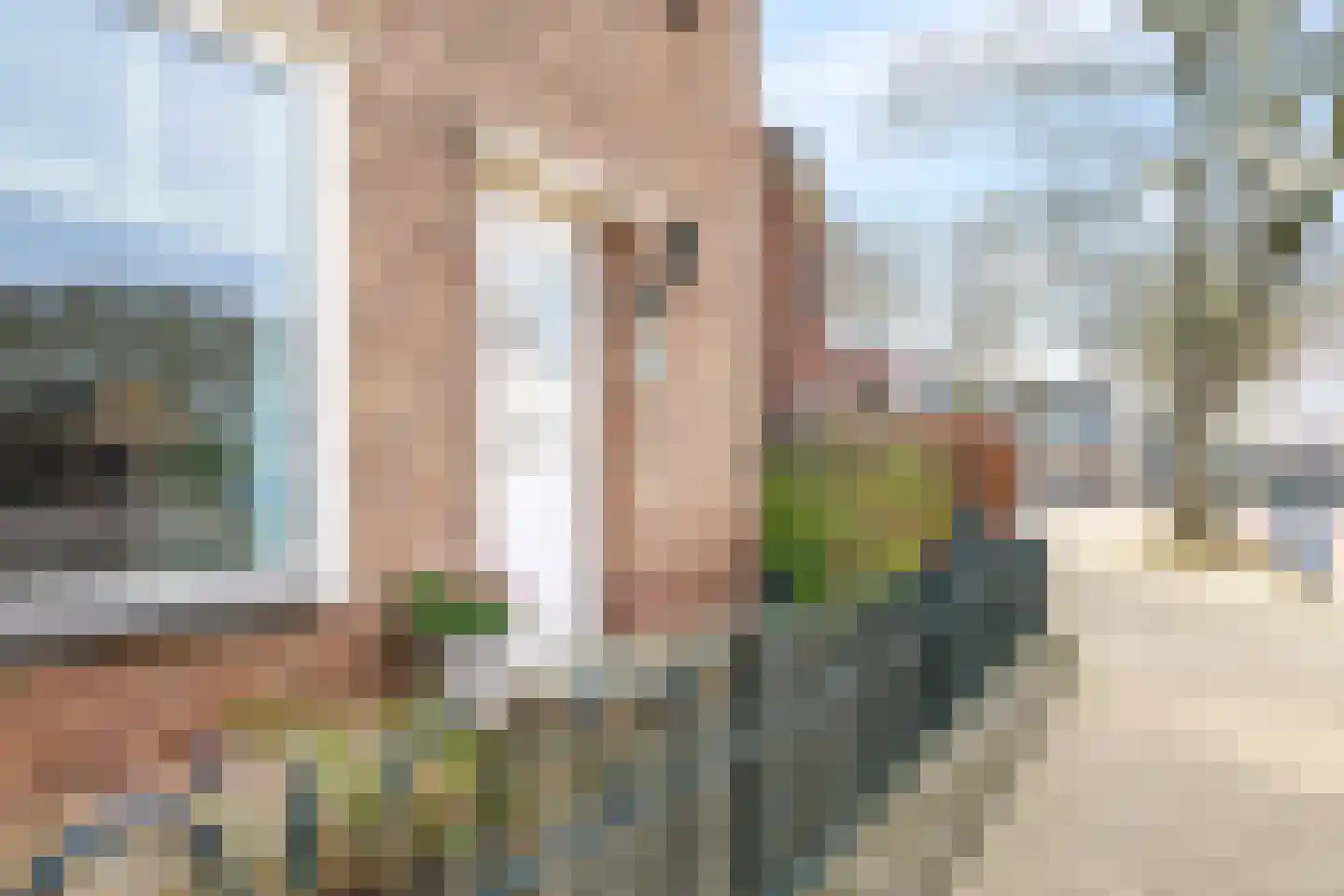 Julianaplein 3 Gendt thumbnail 7